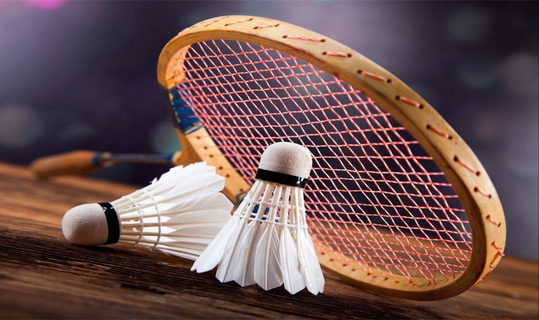 的最大亮点 的最大亮点