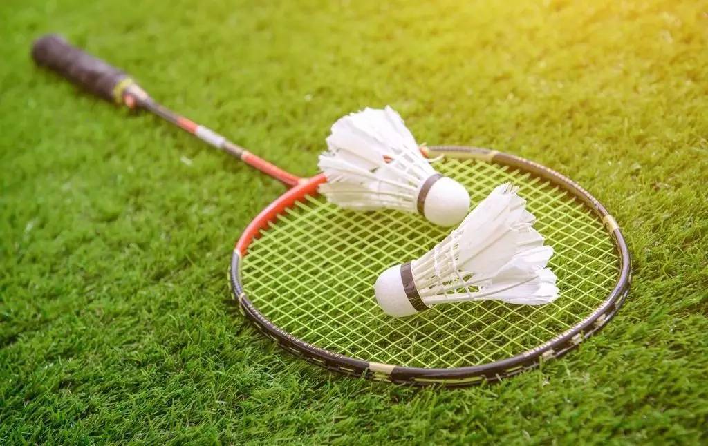 就采用了先 就采用了先