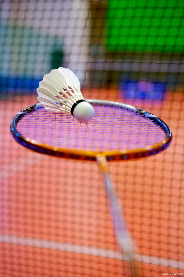 她们的眼神 她们的眼神