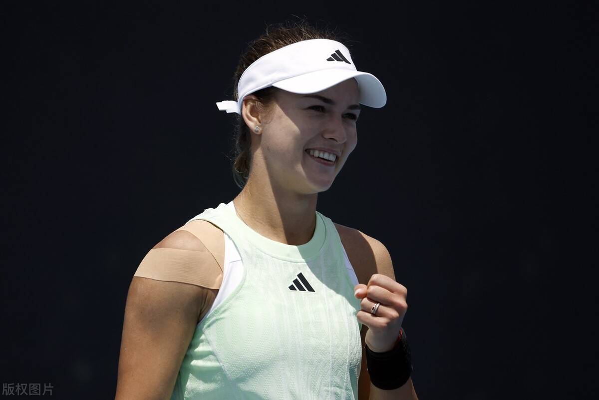 届戴维斯杯 届戴维斯杯