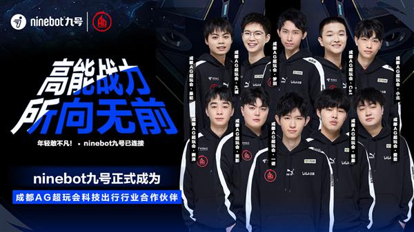 他们不仅在 他们不仅在