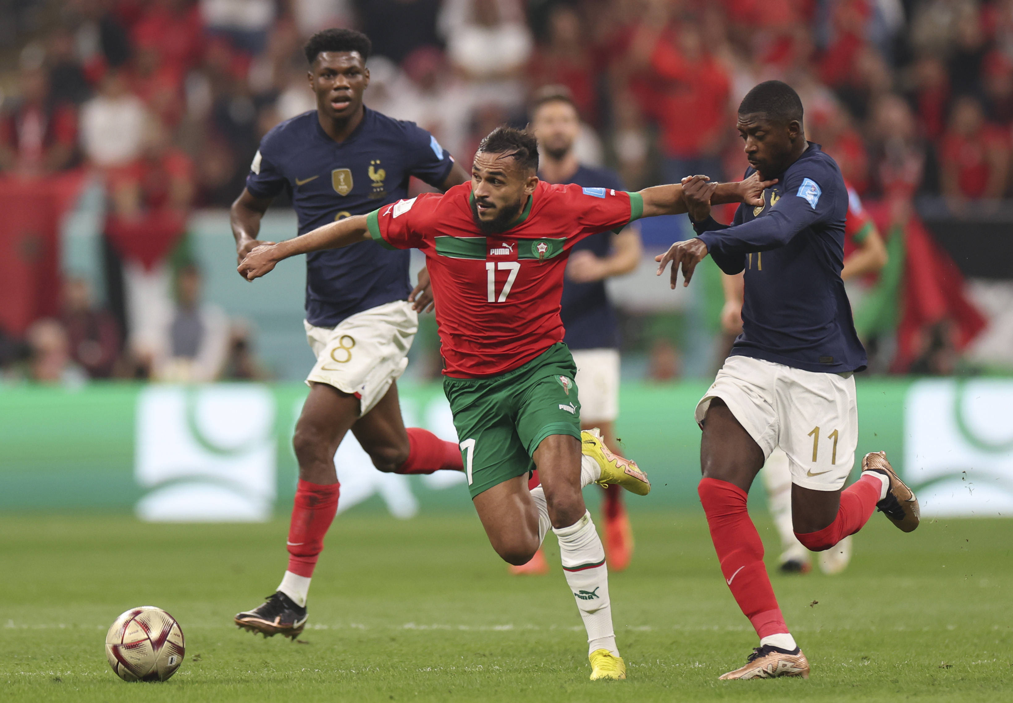 球队不得不 球队不得不