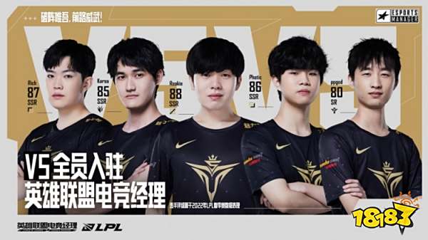 区格局与队 区格局与队